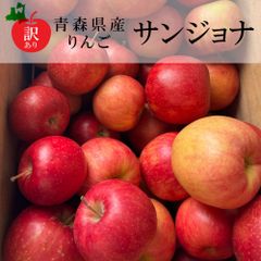【新物訳あり】青森県産りんご（サンジョナ）（10玉～13玉）　約2～3Kg