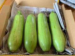 新鮮　農薬不使用　カボッキー（韓国カボチャ）　4〜5本　約1kg