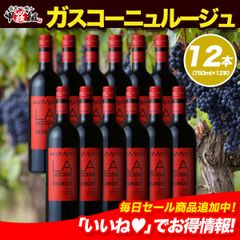 ハリウッドスター御用達ワイナリーが造るデイリーワインの決定版！ドメーヌ・アラン・ブリュモン ガスコーニュ ルージュ 12本セット　送料無料　フランス　赤　ミディアムボディ　タナ　メルロー　お祝い　ギフト