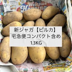 新じゃがいも　ピルカ　宅急便コンパクトBOX含め1.3kg じゃがいも