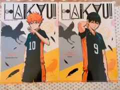 影山飛雄  日向翔陽 クリアファイル