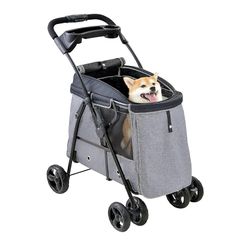 Item thumbnail for item 80a80659-fa1b-4408-9e2b-8fe897a36c68