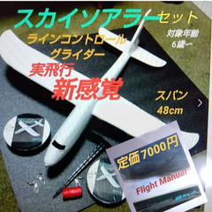 スカイ ソアラー  01　航空機　模型　風に乗せてフライト　糸コン 飛行機 グライダー　スカイスポーツ　カイト　凧　ラジコン より安全　対象年齢6歳〜