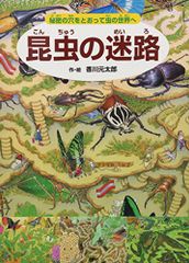 アニエス・ヴァルダによるジェラール・フィリップ／アニエス