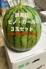 【訳あり出品】熊本県産小玉スイカ　ピノ・ガール２～３玉　種まで食べられるスイカ　マイクロシード　ご家庭用４～５㎏