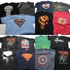 古着卸 まとめ売り マーベル DCコミック 半袖Tシャツ 15枚セット (メンズ XL ) パニッシャー スーパーマン キャプテンアメリカ 古着 NA2603