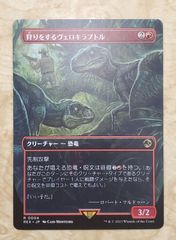 MTG 狩りをするヴェロキラプトル
