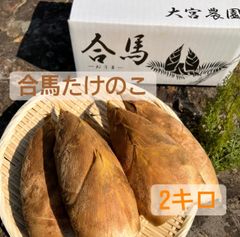 合馬たけのこ　2キロ