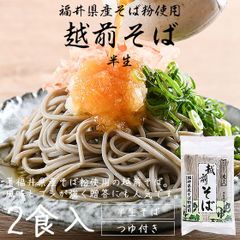 そば 蕎麦 越前そば 2食入り 半生 つゆ付き 福井 お土産 贈答 ギフト