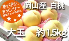 【冷蔵便】岡山産　清水白桃　光センサー糖度測定品　クィーン　　約1.5ｋｇ1箱（5～9玉入り）