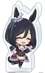 【中古】アクリルスタンド・アクリルパネル エイシンフラッシュ 「ウマ娘 プリティーダービー ころっと アクリルフィギュアコレクション よーいどん! vol.1」のサムネイル