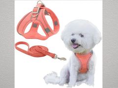 Item thumbnail for item 7f663199-188a-49fa-9682-a4f51bd49b97