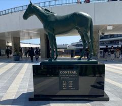 競馬］ドゥラメンテ（2015年日本ダービー）額入りミニゼッケン