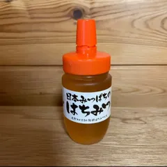 日本ミツバチ 150g 非加熱 蜂蜜 無添加　国産はちみつ