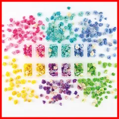 花頭 咲いた花 ネイル ドライフラワー レジン 封入 素材 かすみ草 材料 花材 Princess-style 12マスケース入り 6色セット