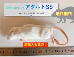 【送料無料】国産冷凍ラットアダルトSS 10匹入@即購入OK！北海道・沖縄の方も送料無料です！