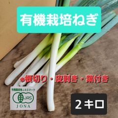 【地域によっては台風により9月1日からの発送になります】自然栽培ねぎ２キロ根無し・葉付き・皮剥き