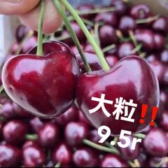 全国一律料金‼️安心‼️クール便発送‼️たっぷり2kg‼️大粒9.5r‼️アメリカンチェリー　チェリー　さくらんぼ　车厘子 樱桃 プレゼント　ギフト　贈り物