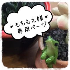 ＊もももえ様＊専用 2苗