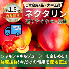 ネクタリン〜選りすぐりの１品種〜【内容量】約1.5kg【配送方法】クール配送【サイズ】L以上【品目】ネクタリン【品種】当店お任せ【産地】長野県【規格】ご家庭用A品【詰め方】パック詰め【配送までの日数】1～4日