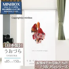 【MINIBOX のれん制作工房 正規販売店舗】【匿名配送ネコポス 送料無料】のれん うおづら「ベタ キャンディ」 幅85×丈150cm【日本製】金魚 UOZURA 熱帯魚 さかな フォト 写真 暖簾 間仕切り 家紋 タペストリー ポスター