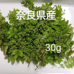 奈良県産】無農薬 山椒(木の芽)新芽 花山椒 - メルカリ