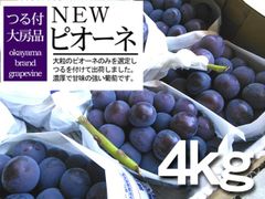 ＜冷蔵便　予約品＞岡山産　NEWピオーネ　つる付　約4ｋｇ（5～8房入）　発送は8月上旬～