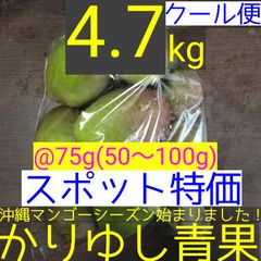 〈スポット特価〉沖縄県産 摘果マンゴー/青マンゴー/グリーンマンゴー@75g(50〜100g)約4.7kg【クール便】②