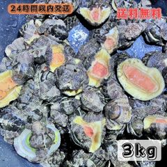 【送料無料】冷凍マツバ貝300個　石鯛　黒鯛　釣り餌　カサガイ　ジンガサ eJcbGQtSrLQDaGsjyCwRCd.jpg@jpg