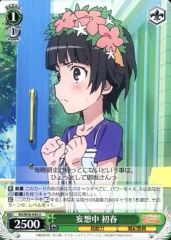[중고]바이스슈발츠 RG/W26-043[U]:망상 중 초봄