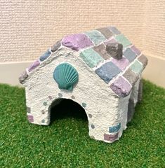 爬虫類　ウェットシェルター　海