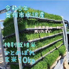 本当にラスト！美味！１等米 ひとめぼれ 玄米１０kg 令和５年 奥州市水沢産 特別栽培米 残りわずか 米不足