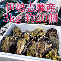 【漁師直送】伊勢志摩産 牡蠣 3kg 約20個 カキ