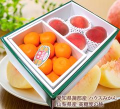 桃 もも モモ ハウスみかん フルーツセット お中元 暑中お見舞い お取り寄せ 夏ギフト 内祝い お祝い お見舞い 誕生日プレゼント 愛知県蒲郡産ハウスみかん 山梨県産糖度13度以上高糖度の桃 [みかん＆桃4玉Ｒ] 冷蔵便 7月初旬より順次発送