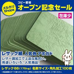 ⑫　名刺サイズぐらい　角丸加工済み　100枚　色アボガド　レザック66（175kg）