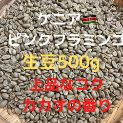 コーヒー生豆　ケニア　ピンクフラミンゴ　500g 匿名配送
