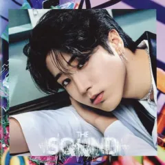 【中古】洋楽CD Stray Kids / THE SOUND[FANCLUB会員限定盤 (HAN盤)]