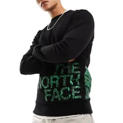 ノースフェイス スウェット The North Face BLOWN UP LOGO CREW スウェット ハーフドームトレーナー ロングスリーブ プリント プルオーバー クルーネック メンズ  丸首 EUライン EUモデル 海外限定 TNF BLACK