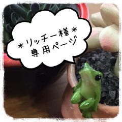 ＊リッチー様＊ 専用 2点