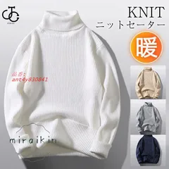 ニットセーター メンズ ハイネック タートルネック リブ トップス 40代 20代 仕事用 あったか 50代 事務服 長袖 シンプル 30代 紳士服 秋冬 ビジネス 男性 ant4y830841