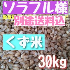 ソラフル様  くず米