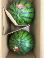 大玉スイカだんらん2玉入り！北海道東北各県沖縄発送不可