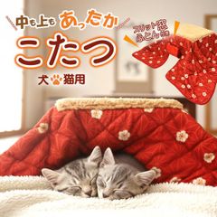 Item thumbnail for item ec5e6783-8bbc-4b98-b89d-65aaddbbff18