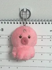 theboyz そぬ　sunwoo ぬいぐるみ　キーホルダー Amazon.co.jp: the boyz ドボイズ ソウルコン md ソヌ