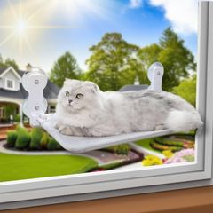 Item thumbnail for item d2b71402-d86f-4026-91f3-6704d4b53b0d