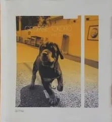 2025年最新】所ジョージ JAM CRACKER 1 の人気アイテム - メルカリ