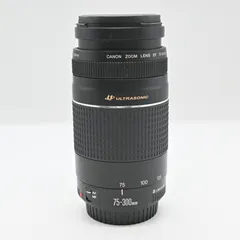望遠レンズ Canon EF 75-300mm F4-5.6（訳あり品） 4142rsG0TEL._UF1000,1000_QL80_.jpg