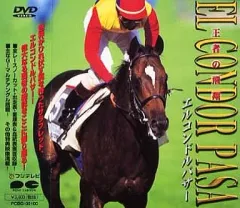 エルコンドルパサー　ジャパンカップ　単勝馬券(旧) エルコンドルパサー ジャパンカップ 的中馬券