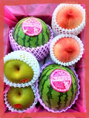 茶子様専用クール便