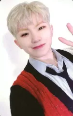 【中古】コレクションカード(男性)/ SEVENTEEN/WOOZI(ウジ)/裏面赤/DVD「2021 SEVENTEEN CONCERT [POWER OF LOVE]」封入特典フォトカード